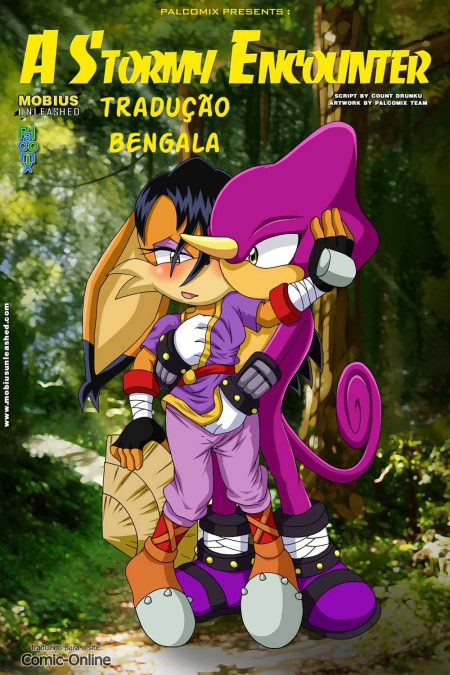 Encontro Tempestuoso - HQ